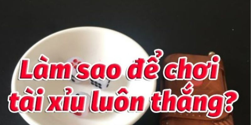 Bí kíp chơi tài xỉu tại 8KBET luôn thắng