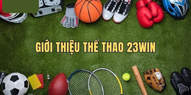 Một số dữ liệu liên quan đến thể thao tại 23Win